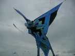 Vign