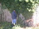 Vign