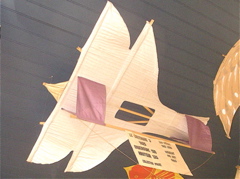 Brevin7-36