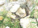 Cliquer pour agrandir