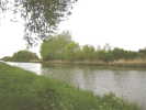 Vign