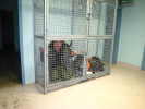 Cliquer pour agrandir