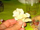 Cliquer pour agrandir